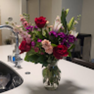 Meet your Posher, Ana isabel